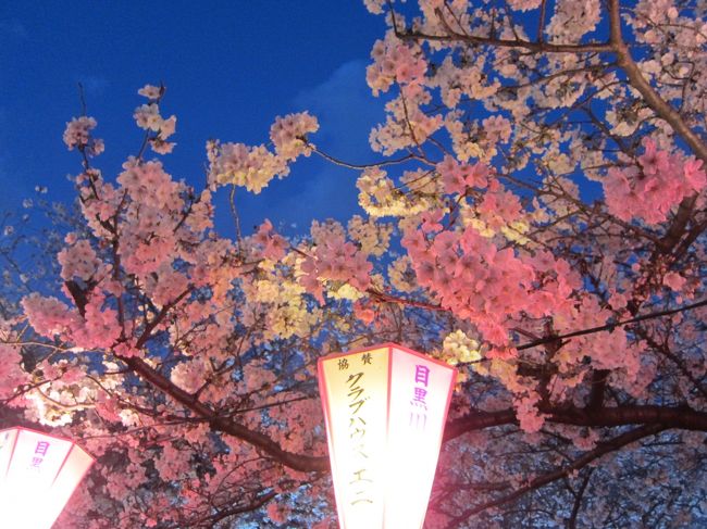 目黒川の桜が見ごろになったようなので見てきました。混雑すると見たので今まで行ったことがなかったのですが、一度は行きたいと思っていました。ライトアップまで見たので旅行記は３つに分けました。