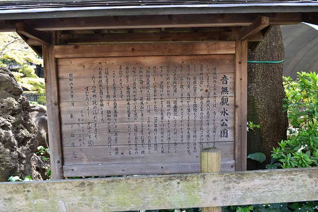 東京都内のサクラもほぼ満開状態です。<br />今年は早いのかと思いきや寒の戻りで例年よりも遅くなりましたね。4月第1週末が見ごろでしょうかね。<br />サクラの名所はどこも人がいっぱいでゆっくりと花見も出来ませんね。<br />さてここJR王子駅を下車すると飛鳥山公園がド~ンと駅のホームからも眺めることができますが、こちらには立ち寄らずに音無親水公園に行きましょう!<br />音無親水公園は小平の東部を源に、墨田川に注ぐ石神井川の旧流に整備された公園です。その両側には延々と桜並木がさりますので素晴らしい景色を堪能できます。