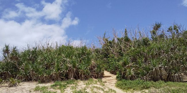 我が家の恒例行事となりつつある、春の沖縄旅行。今年はあまり長距離移動はせず、天気にあわせプランも変更。結果、いろいろ楽しめました。