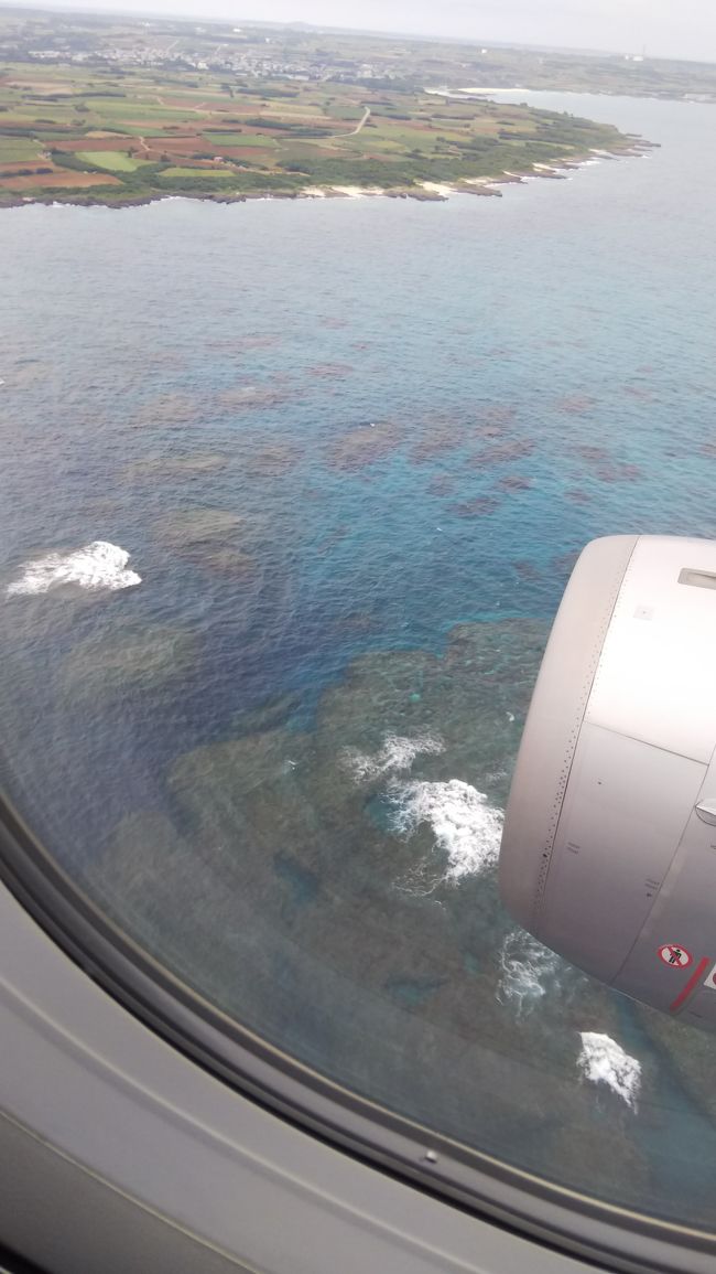 旅客用空港として再開港し、ジェットスターが就航した下地島空港。<br />お得なチケットを買って、宮古島の青い海を楽しんできました。<br />…行きの便の驚くような遅延はありましたが、楽しい旅でした。<br />その記録です。<br />