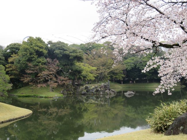 靖国神社を２往復する間に、小石川後楽園を訪れました。飯田橋駅からすぐのはずが、方向音痴なのでなかなかたどり着けずに大変でした。