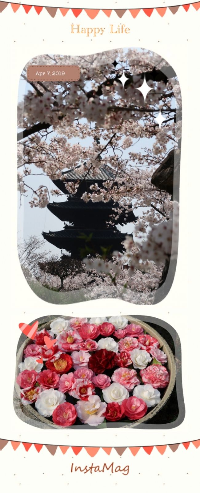 ２０１９年４月　春と桜と古都と。華やかな京都時間♪「東寺」で桜を愛で～「ヴィナイーノキョート」でランチ～「霊鑑寺」で椿鑑賞～