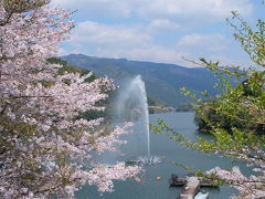 二万本の桜と人吉グルメ！ちょっとおまけドライブ旅