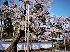 伏見の旅行記