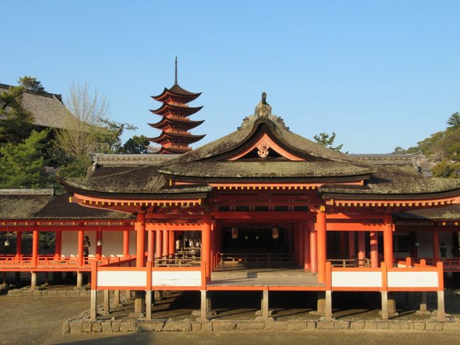 憧れの広島県、宮島観光に行きました。<br />昔から厳島神社には、一度は行ってみたいと思っていました。<br />高速バスの料金が安かったので、思い切って行こうと決めました。<br />京都駅から広島駅まで、高速バス料金が往復で約８千円ぐらいでした。<br />晴天にも恵まれて、桜の開花も満開の様子でした。<br />観光客のほとんどが、欧米系の外国人がとても多かったです。<br />アメリカ、スペイン、イギリス、オーストラリア、フランスなど。<br />白人系の外国人観光客がとても大勢でした、逆にアジア系外国人観光客がまばらな様子。<br />さすがに、世界遺産ともなると外国人観光客の関心も高いようです。<br />なかなか、外国で厳島神社のような場所は無いようですので、来たいと思うのも無理もないのかもしれません。<br />昼過ぎからの観光は、ちょうど干潮で大鳥居の下まで観に行けます。<br />夕方の５時過ぎごろから、徐々に満潮になる様子が見れます。<br />夕焼けに映る大鳥居は、とても幻想的で美しい姿を醸し出してくれていました。<br /><br />厳島神社　http://www.itsukushimajinja.jp/index.html　<br /><br />宮島観光協会　http://www.miyajima.or.jp/index.html　<br /><br />広電　http://www.hiroden.co.jp/index.html　