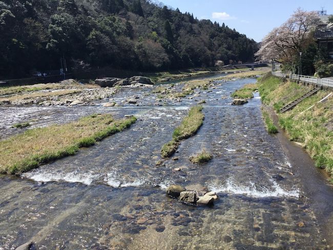 初めての鳥取。本当は関東に行く予定だったんだけど、今年は花粉の量が6年ぶりに多いというニュースを見て、鳥取に変更^_^。<br /><br />世界屈指のラジウム泉、三朝温泉へスーパーはくとで行ってきた。空いているのでゴールデンウィークにもおススメ。<br /><br />大自然に囲まれた静かな温泉。