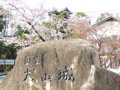 国宝　犬山城と桜　2019