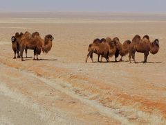 冬のモンゴル・シベリアへの旅1 北京からウランバートルまで 陸路最速1泊2日バスの旅 (Heading to Ulanbaatar)