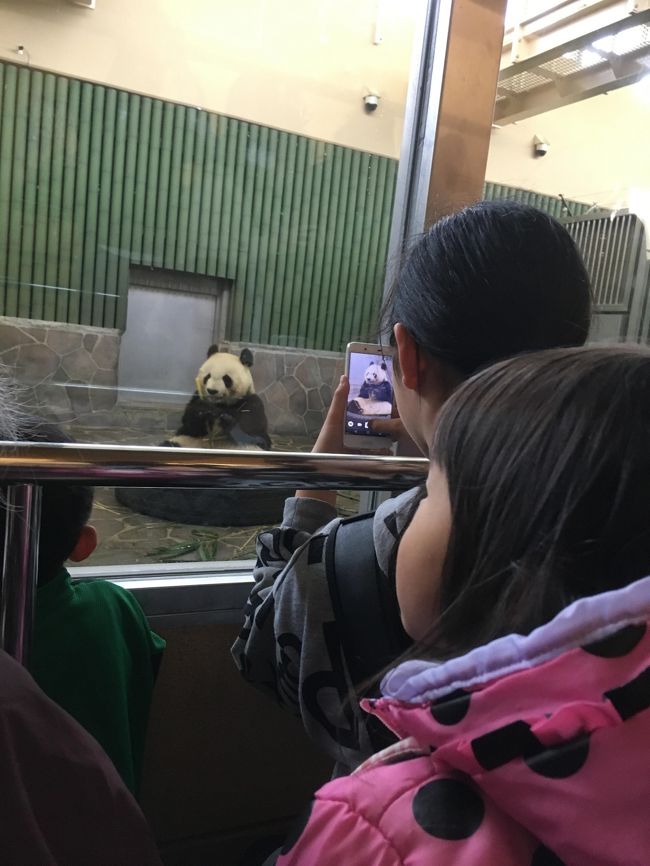 宝塚SAができたところだったのでどんなものかを体験しつつ、王子動物園にいってきました！<br />とても綺麗なSAでご飯も美味しかったし、トイレもさすが宝塚！<br />王子動物園はお安く子供も楽しめる最高の場所でした！