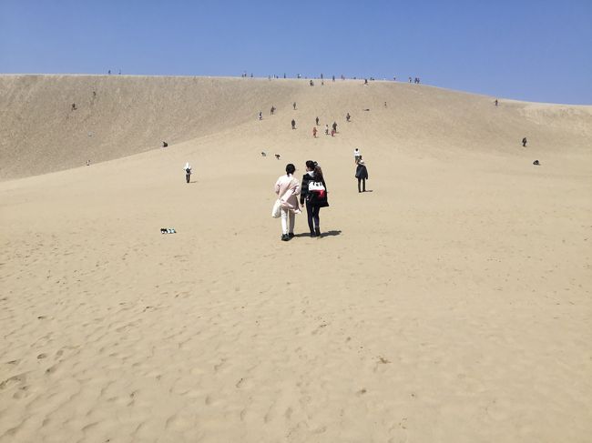 ずっと行きたかった鳥取砂丘。すごい強風だった。。