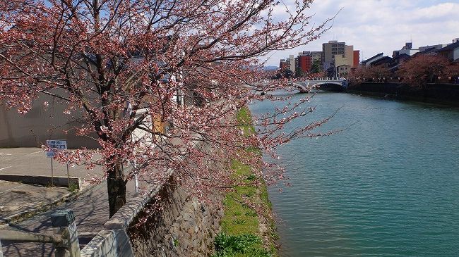 上巻からの続きです。<br /><br />写真は、浅野川の堤防に咲く満開に近い桜。