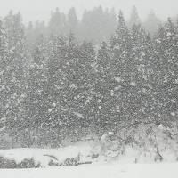 ☆ 2019年 4月 大寒波大雪の当間高原 ベルナティオ☆