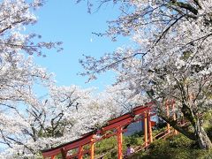 春の「浮羽稲荷神社」と「流川の桜並木」