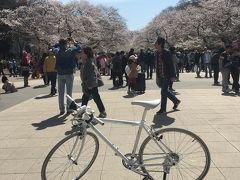 2019年04月  桜を求めて