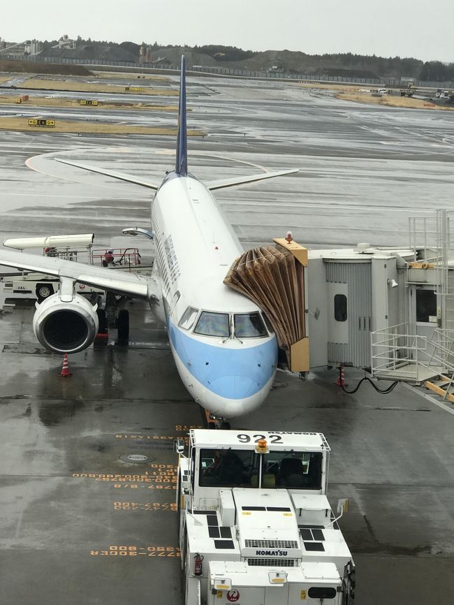 2019年3月の飛び石連休、羽田・成田発の台湾行きの航空券価格は高騰中!!<br />往復航空券代を何とか抑えようと思案していたところ、<br />マンダリン航空(AE)の往路を成田/台中、復路を台北/名古屋というルートなら何とか予算内<br />航空券料金はこんな感じ...<br /><br />航空券(某ネットにて購入) : 38,000円<br />空港使用料、燃油サーチャージ、出国税 : 15,020円<br />―――――――――――――――――――――――――――<br />計 53,020円<br /><br />■AE0267便<br />NRT12:30 → RMQ15:50(定刻)<br /> 12:23 15:56 ※3月21日の実際の運航時間