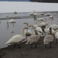 2019.03 鉄路で目指せ北海道！（14）「温泉民宿摩湖」滞在記に、屈斜路湖・硫黄山観光ツアー！