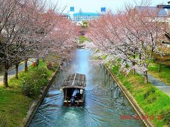 2019春 『そうだ！京都、行こう！』しかし、桜はまだ早かった・・・ 《1日目-1》