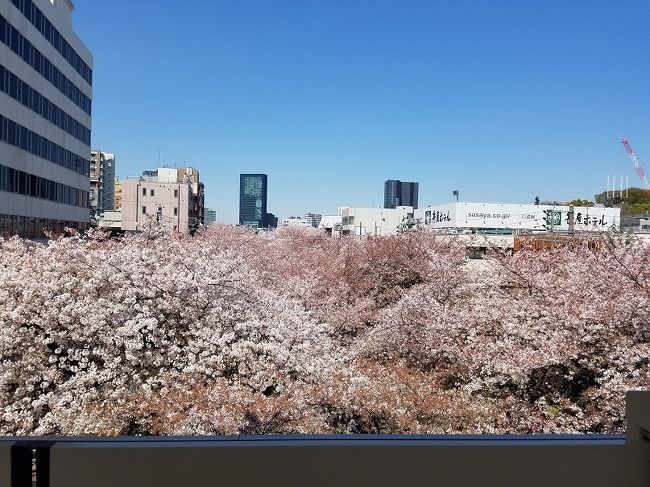 中目黒を歩いてみました。写真は中目黒駅のホームから見た目黒川の桜