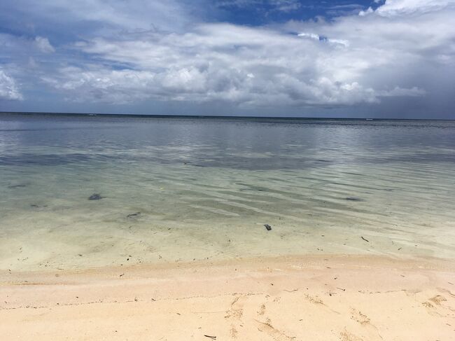 パラオ４日目<br /><br /><br />この日は、太平洋戦争の激戦地、ペリリュー島ツアーに参加した。<br />ペリリュー島はコロール島近辺に比べて大変海がきれいで、多くのダイバーさんともすれ違った。<br />表紙の写真は、ペリリュー島にあるオレンジビーチ。<br />本当に美しく、波も穏やかで優しい。<br />ここにアメリカ軍が上陸したんだって。<br /><br /><br />※このページはあくまで旅行記なので、そんなに詳細なペリリュー島戦闘については記載しません。<br />