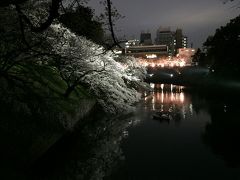 九段の満開桜&#127800;。