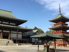 桜を見つつ成田山へ