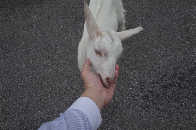 出張族なので全国津々浦々行くのですが、当時マイルなどあまり気にせず乗っており、いわゆる上級会員とは無縁でした。ただ、キャンペーンなどでラウンジを利用したときの快適さに、とうとう修行に手をだしました。まだ空港修行を始める前の記事を思い出しつつ記載したので写真もあまり系統だって撮ってませんでした。<br /><br />HND 07:45→10:25 OKA ANA463<br />OKA 12:35→13:35 ISG ANA1767<br />石垣泊<br />ISG 14:50→15:50 OKA ANA1774<br />OKA 17:00→18:55 ITM ANA770<br /><br />＃16空港目（ISG）