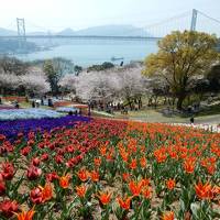 関門海峡お花見スポット