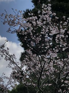 金沢旅行記【最終日】