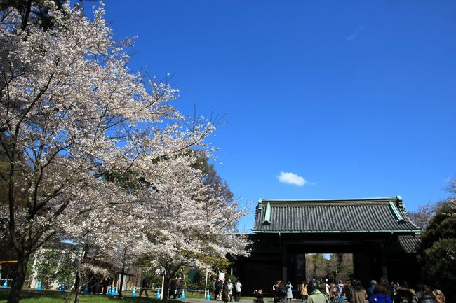 平成最後の皇居乾通り一般公開に行って来ました。春の一般公開に行くのは最初の年（2014年）以来５年振りです。<br />最初の年は公開期間が5日だけと短いうえに坂下門の開門時間は10時と遅く、更に警視庁の交通整備も不手際が多く皇居周辺から大渋滞でした。延々と迂回をさせら坂下門をくぐるまでにれ2時間もかかりました。<br />流石に諸問題は改善されていて今回は快適にお花見を楽しめました。<br />皇居乾通り一般公開の前後にも周辺のお花見をしました。<br />今回も東京メトロ２４時間券（600円）を利用しました。<br />＜この日の行程＞<br />中目黒駅→霞ヶ関駅→日比谷公園・皇居乾通り一般公開・北の丸公園・皇居東御苑→大手町駅→湯島駅→不忍池・上野公園・上野東照宮・黒田記念館→上野駅→浅草駅→隅田川・浅草神社・浅草寺→浅草駅→三越前駅→日本橋界隈→日本橋駅→溜池山王駅→アークヒル桜並木→六本木一丁目駅→永田町駅→東京ガーデンテラス紀尾井町・ニューオータニ→永田町駅→半蔵門駅→国立劇場・千鳥ヶ淵→九段下駅→六本木駅→東京ミッドタウン→六本木駅<br />①皇居周辺②上野・浅草③ライトアップの３部に分けました。