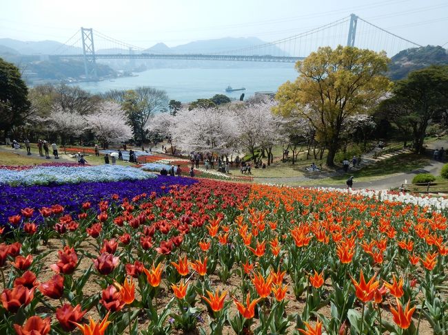 今日いい天気なので北九州市から下関市火の山公園へお花見。昨年訪れ良かったので再度来ました。花冷えあったので桜が散りずに持ってくれました。おかげで観光の人も多く、駐車するのに時間かかってしまいました。でも最高のロケーションと桜とチューリップのお花、来たかいがありました。GW頃には桜に変わりツツジがきれいに咲いていますよ。