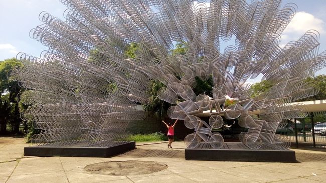 サンパウロ滞在も4日目にあります。<br />今日は、広大なイビラプエラ公園の散策をすることにします。<br />何度もサンパウロを訪問していますけれど、一度も訪れたことがなかったのです。<br />ブラジル人の友人から、勧められて気軽に行ける場所なので、トライすることに決めたのです。 <br />定番の地下鉄を利用して移動します。<br />地下鉄の駅からは徒歩で公園を目指しますけれど、ちょっと距離がありますけれど、ずっと下り坂なのでぶらぶらと景色を堪能しながら向かいました。<br />とにかく広大な公園のようで、入り口を発見するのに大変。<br />無事に入り口を発見できて公園内に入りますけれど、とにかく想像より広大という印象ですね。<br />園内のマップなどを確認しますけれど、何が何だか分かりません。<br />ですから、入り口からやみくもに散策することにします。<br />市民の憩いの場なので、ジョギング、ウォーキングなどをしている人が多いです。<br />博物館とか、プラネタリウムなどまであるのです。<br />そして、発見したのが日本館です。<br />このエリアは有料ですけれど、中に入ると立派な日本式の建物があって、お庭などを散策できるのです。<br />日本の天皇陛下も訪れたようです。記念碑が残っています。<br />こんな感じで、ゆったりと公園内を散策することができて記念になりました。<br />さて、恒例になっている東洋人街に移動することにします。<br />このエリアに来ると安心するのです。<br />ランチは中国人経営だと思われるお店で日本風のしゃぶしゃぶにします。<br />野菜が不足するの補給するのが目的です。<br />ちょっと外れですね。野菜が新鮮ではない感じでした。<br />ランチ後は、鉄道に興味があったので地下鉄ではなくて、普通の列車が運行されている貴重な駅まで移動します。<br />もちろん地下鉄で移動です。<br />味がある、雰囲気のある駅舎が特徴ですね。<br />自由のホームに入れるのが日本と違いますね。<br />発着風景を撮影できて満足しました。<br />さて、夕食は定番の東洋人街に戻って日本人向けのレストランを探します。<br />初めてのレストランです。<br />店員さんは日系人で日本語OKです。<br />おつまみで、揚げナスを注文。これが大ヒットです。日本でも、これだけの味を出せるお店はないと思います。<br />大満足で飲むことができました。<br />まだ時間に余裕があるので、夜の街をぶらぶらします。<br />比較的安全なビジネスエリアの夜の景色を堪能して、ちょっと一杯で終了ですね。<br />ブラジルって楽しい国ですね。<br />今日もエンジョイしました。<br />