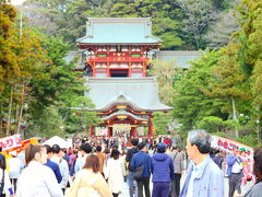 春の鶴岡八幡宮