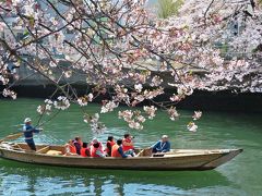 ”平成最後の春” 都内お花見スポットへ遊びに行こう！（・ω・）/♪