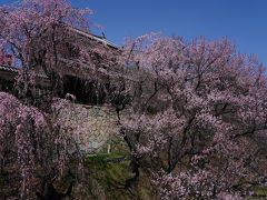 別所温泉の旅行記