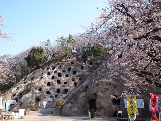 今年のお花見はどうしよう<br /><br />気分は盛り上がらないんだけど平成最後のお花見になるから、どこかに行きたいな～<br /><br />と考え、お花見プラス＠で楽しめる所を探しました。<br /><br />県内の観光スポットでそれなりに有名で、そこまで混雑しなさそうな場所・・・と調べた結果、今回は自称『埼玉のへそ』東松山市に行ってみました！<br /><br />