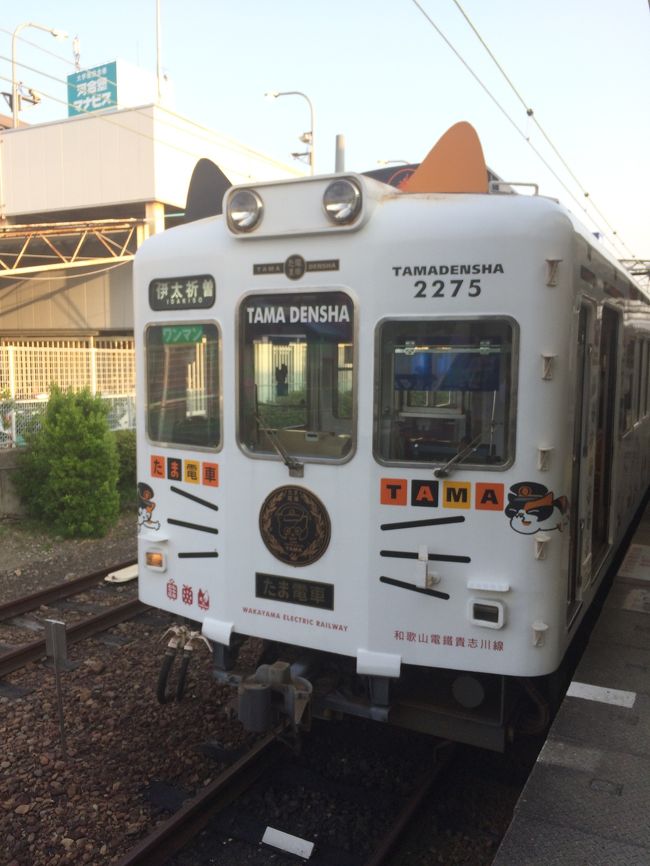 たま駅長で有名な和歌山電鉄貴志川線に乗ってきました。いろんな種類の電車が走ってました。