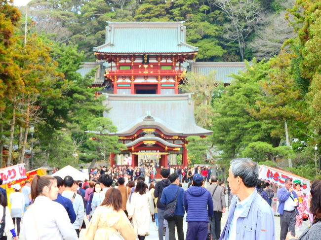 　鶴岡八幡宮に行ってきました。３月初旬ということもあって、まだ桜の季節には早かったですが、大勢の人出でびっくりしました。最近では、日本人だけでなく外国人旅行者にも人気の観光地の一つになっているそうで、実際に沢山の外国人観光客が訪れていました。