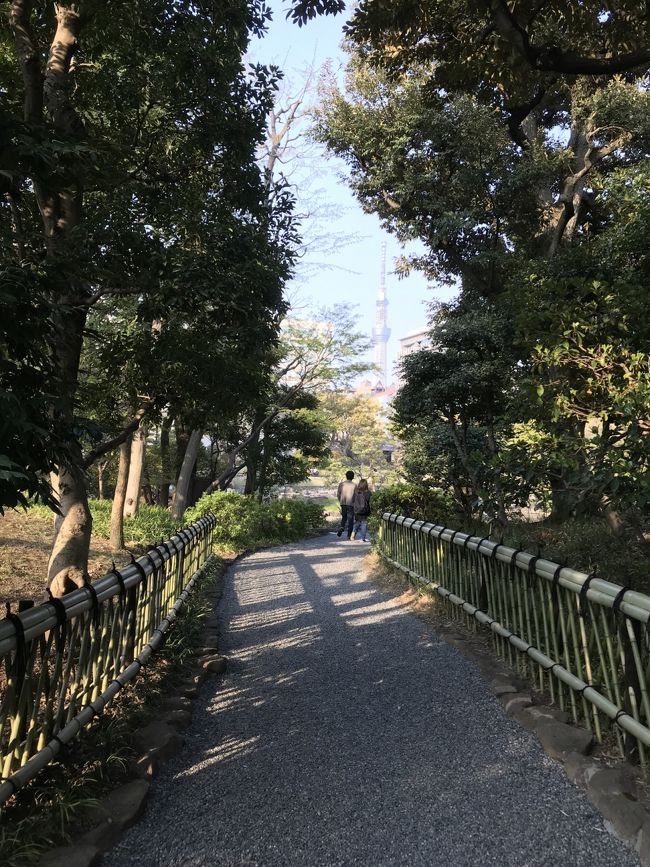 両国駅から至近距離ながら、国技館や江戸博物館の影に隠れてなかなか訪れる機会がなかった旧安田庭園を訪問。<br /><br />旧安田庭園は、東京都墨田区に所在する、潮入り回遊式庭園として整備された大名庭園です。