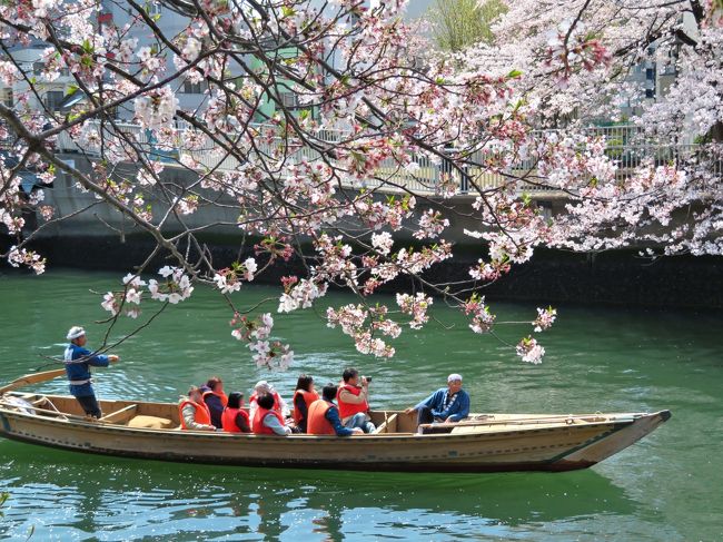 2019年３月21日、靖国神社にある桜ソメイヨシノ標本木の開花が発表されてから、東京は3月30日頃に満開となりましたぁ～♪<br />ﾟ･:*.┗┫┣┷.｡*:ﾟ ▽o（*＾∪＾*）　<br />・‥…━…‥・‥…━…‥・‥…━…‥・‥…━<br />※東京都内の多くの公立小学校で４月8日（月）入学式が行われました。<br />※秋篠宮家の長男悠仁さま（１２歳）は８日、お茶の水女子大付属中（東京都文京区）の入学式にご出席をされました。<br />※大学は学部により入学式の日程が異なりますが、4月1日～４月12日の間で行われていました。<br /><br />真新しいランドセルを背負った子供たちも、スーツを着た保護者らと一緒に学校の門をくぐります。<br />.+:。ピｯカピカの１年生.+:。<br />Ω　　　   ∧∧<br />｜  ∧∧   (ﾟДﾟ )<br />ヽ(*ﾟωﾟ)/　 ∪<br />～(Ｏx ) ｲ　 |～<br />　　 ∪　∪ ∪<br /><br />━－━－━－━－━－━－━－━－━－━－━<br />”平成最後の春”のイベントは桜まつり♪<br />春になったのでお花見で～す（ゝω・）ｂ☆<br />●お江戸深川さくらまつり<br />●皇居乾通りの桜一般公開<br />●神田川沿いの桜<br />●中目黒桜まつり<br />━－━－━－━－━－━－━<br />まだまだ紹介しきれていない都内のお花見スポットは沢山！<br />来年もまたＵＰしま～す☆彡<br />|●`艸´)… ｸｸｸ(●`w´●)<br />