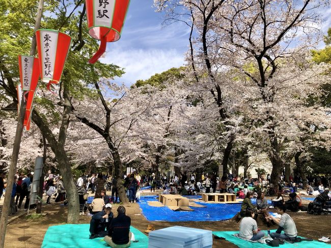 東京下町を巡る旅（上野-浅草-立石）上野編　お花見をしなかった人はご覧ください。(#^.^#)