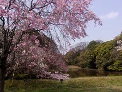 平成天皇最後の皇居一般公開