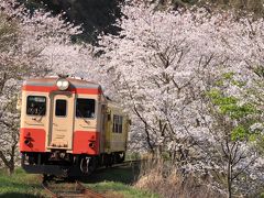 菜の花と桜！春のいすみ鉄道&小湊鉄道撮影旅。