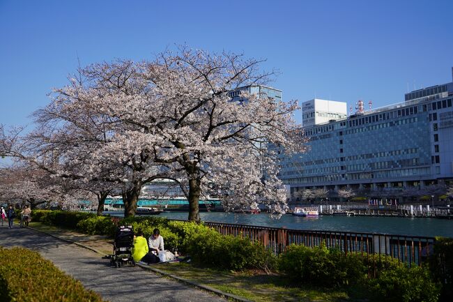 朝から良い空模様となったこの日、『お花見フェスタ』が開催されている「川の駅はちけんや」界隈を中心に、大川のさくら散歩に出掛けてきました。<br /><br />まだ五分咲きから七分咲き程度の開花でしたが、大川沿いはお花見に繰り出した方々で賑わっていました。