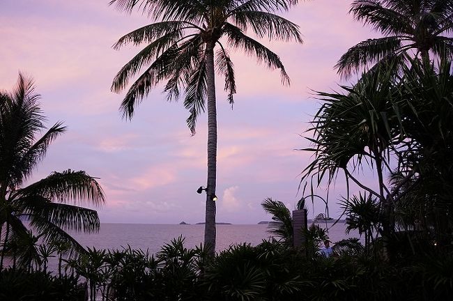 違うブログに投稿していたので、統合のため過去旅行記になります。<br /><br />2014年もサムイ島　ボプットです。