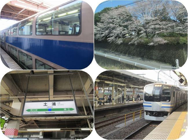 青春18きっぷで日帰りグリーン車旅 後 土浦に着いたらとんぼ返り 車窓の桜は満開 土浦 茨城県 の旅行記 ブログ By Happinさん フォートラベル