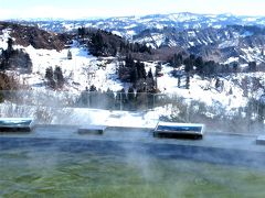 「 トキ 」＆ 「 芝峠温泉 雲海 」そして「 雪割草街道 」 の旅 ＜ 新潟県長岡市・柏崎市・十日町市 ＞