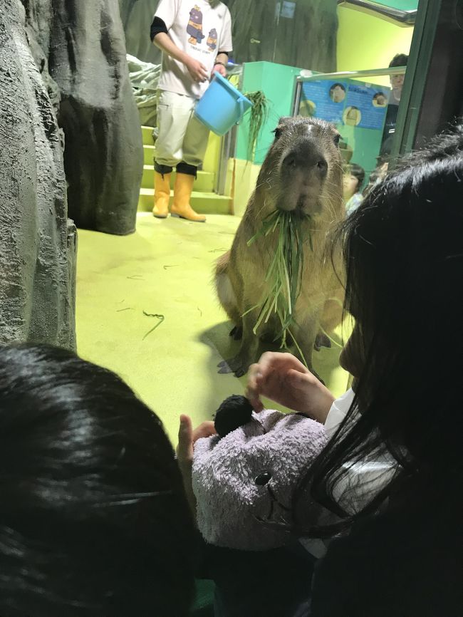 いちご狩りはじゃらんクーポン利用で2000円引きで、7000円なり～<br />竹島水族館へ移動<br /><br />その後ジャズドリームへ。