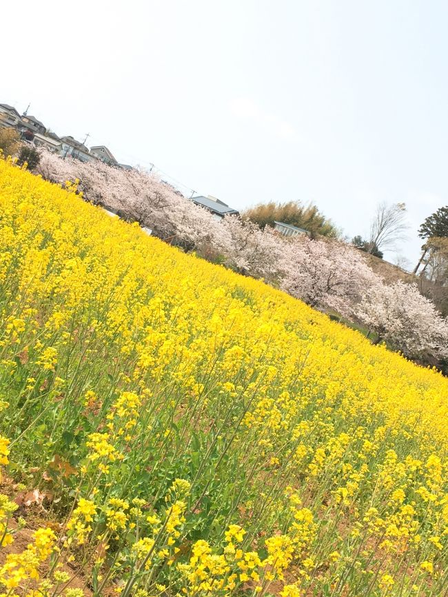 本日お天気もよく、大学の友人と現地集合解散というちょい旅行ってきました～