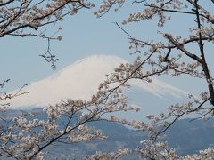 360度の大パノラマ！富士山と桜が楽しめる弘法山公園～出雲大社相模分祠