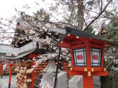 町屋の片泊まりで巡る京都の桜2019 　その５ 安井金毘羅宮・本法寺・祇園さゝ木でランチ